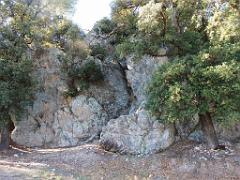 183 HYERES ET SES PALMIERS D03_000022